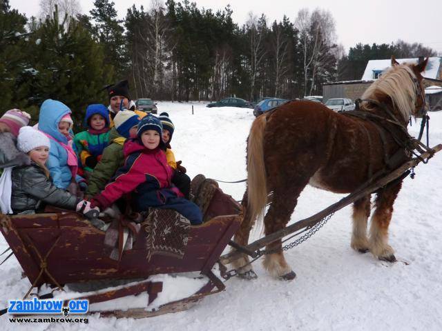 Maluchy na kuligu...