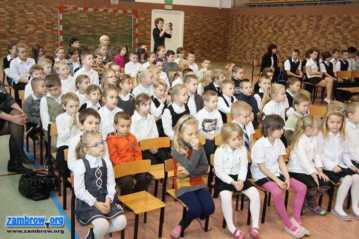 Ochrona środowiska w Starym Zakrzewie