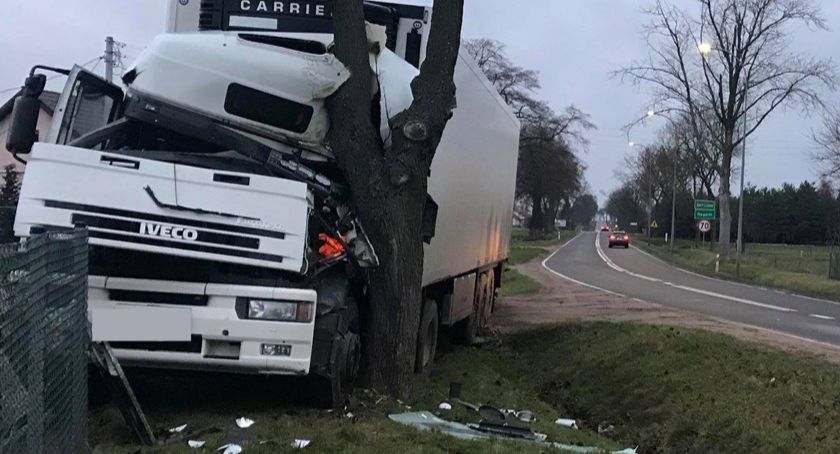 Ciężarówka wjechała w przydrożne drzewo i ogrodzenie posesji [foto]