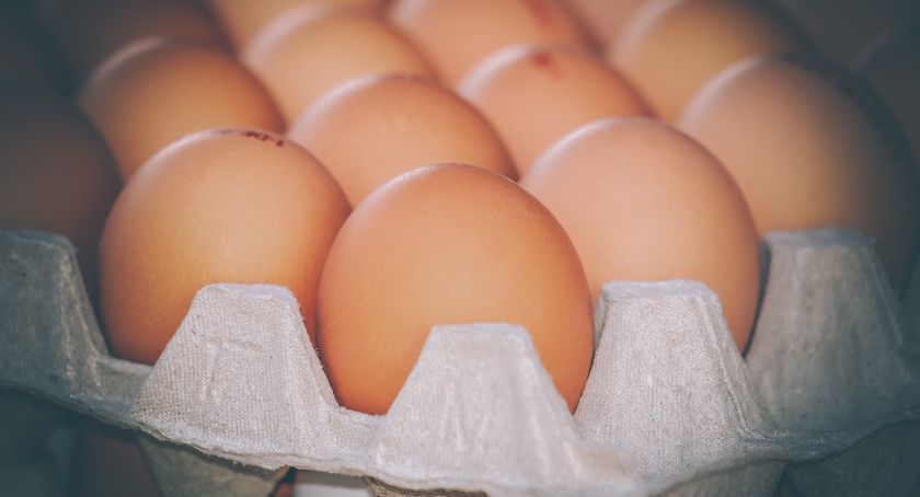 Sanepid ostrzega. Te jajka mogą być skażone salmonellą