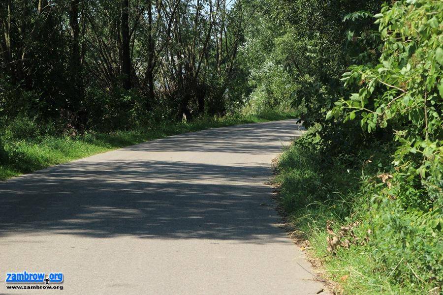 Powiat niebawem wyremontuje drogę dzięki wsparciu Gminy Zambrów [foto]