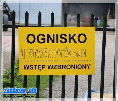 Kolejne ognisko ASF. Główny Lekarz Weterynarii apeluje do rolników