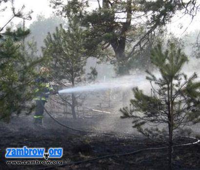 12 pożarów na terenie powiatu zambrowskiego w weekend