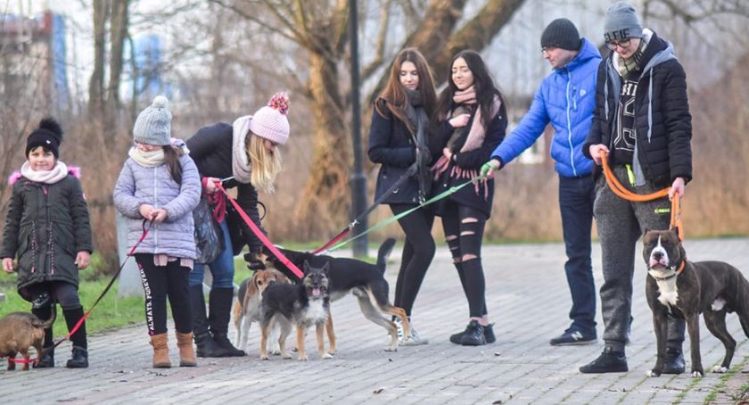 Zapraszamy na niedzielne psie spacery nad zalewem
