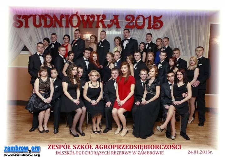Studniówka w ZSA 2015. Zdjęcia grupowe.