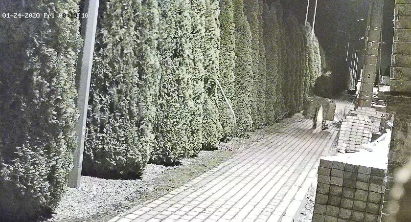 Jeśli poznajesz te osoby, skontaktuj się z policją! [video]