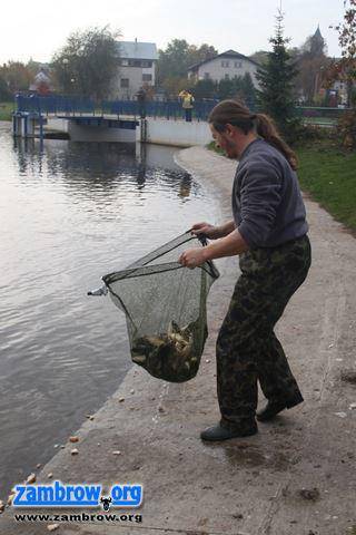 200 kg karpia trafiło do zalewu