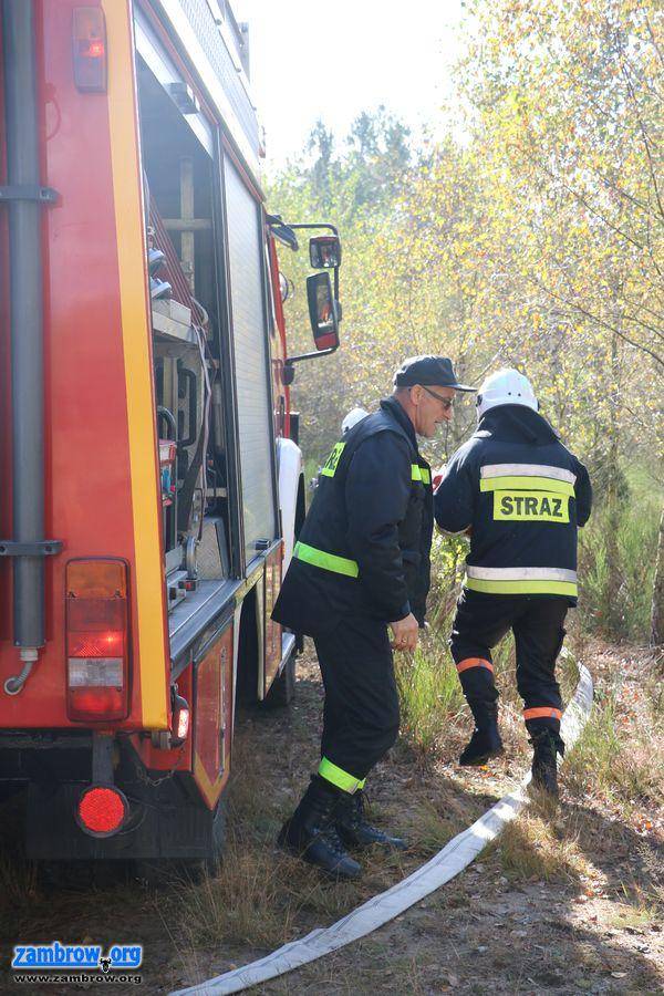 Pożar lasu w Czerwonym Borze [foto+video]