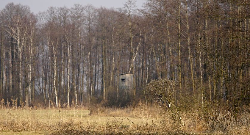 Do lasów nie mają wstępu także myśliwi
