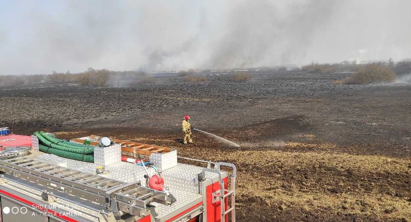 Zambrowscy strażacy w akcji ratowania Biebrzańskiego Parku Narodowego
