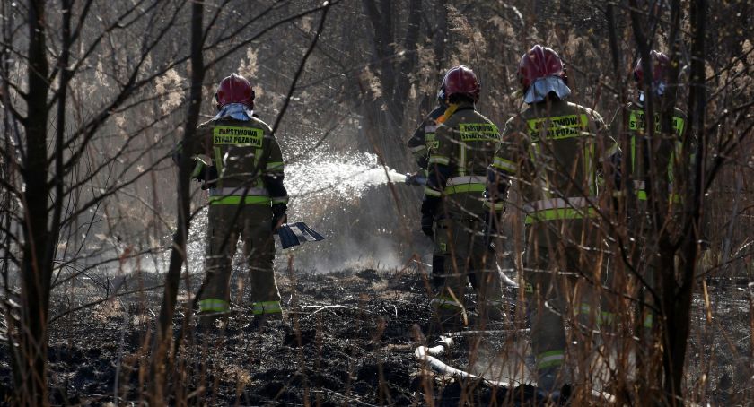 Pożar Biebrzańskiego Parku Narodowego nie rozprzestrzenia się