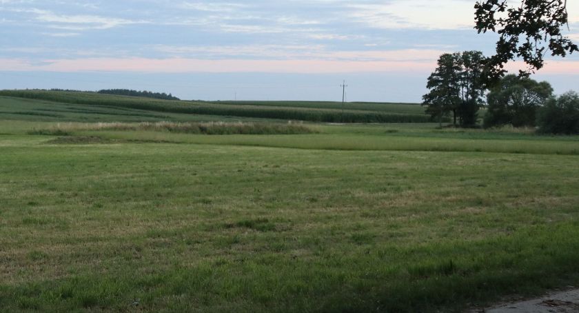 Połowa rolników złożyła już wnioski o dopłaty 2020