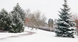 Będzie mroźno! Termometry mogą wskazać -17°C