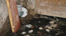 Ścieki od kilku lat dostają się do mieszkania. Lokatorzy załamują ręce [FOTO+VIDEO]
