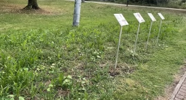 Łąka w księżym lasku została skoszona [FOTO]