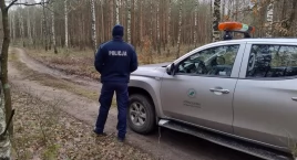 Kradzież drzewa z lasu może być przestępstwem, za które grozi do 5 lat więzienia