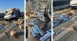 Wypadek na S61: padło 7 krów, a na ulicę rozsypały s…
