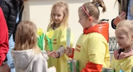 Pola Nadziei 2026: Zambrów kolejny raz rozkwitł żółtymi żonkilami [FOTO+VIDEO]