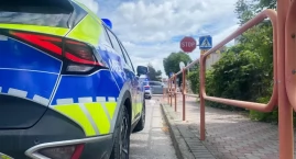 Pijany kierowca uderzył w drzewo. Nie miał nawet prawa jazdy