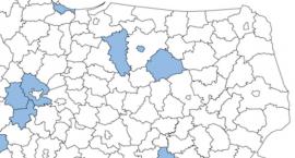 Koronawirus: zobacz aktualną mapę zakażeń
