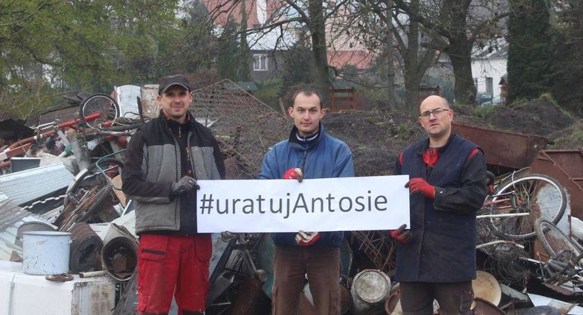Zbiorka złomu na leczenie Antosi 