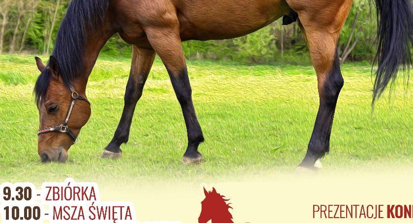 XIII Regionalna Wystawa Koni Hodowlanych w Drohiczynie 