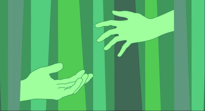 Białowieska Akcja Humanitarna - Apel do premiera i prezydenta 