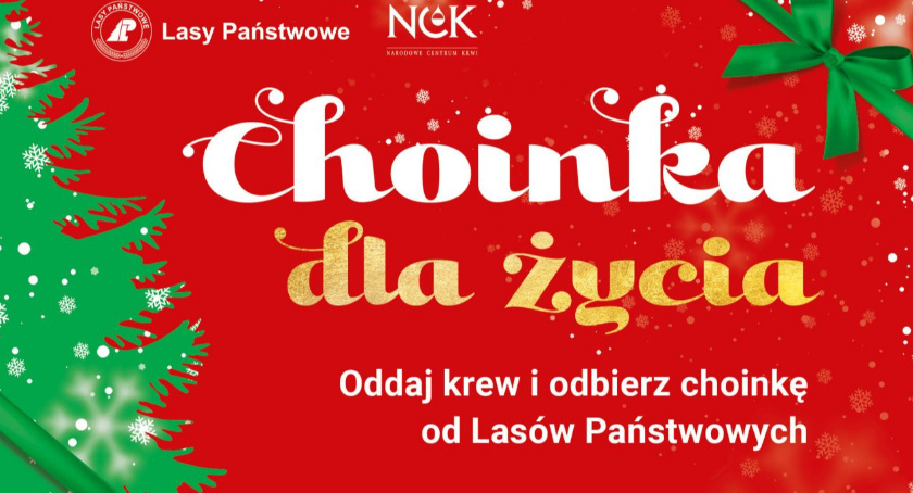 #ChoinkaDlaZycia! Świąteczne drzewko dla honorowych krwiodawców