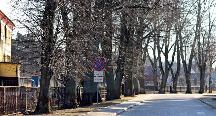 Stare lipy do wycięcia?