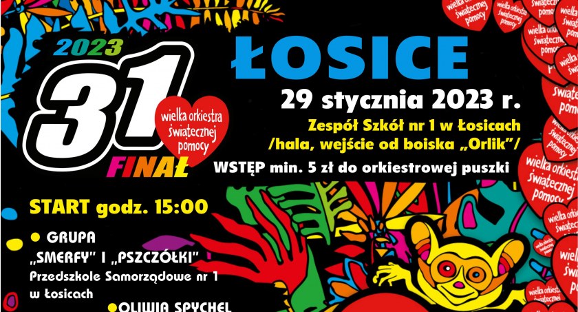 31 Finał WOŚP w Łosicach