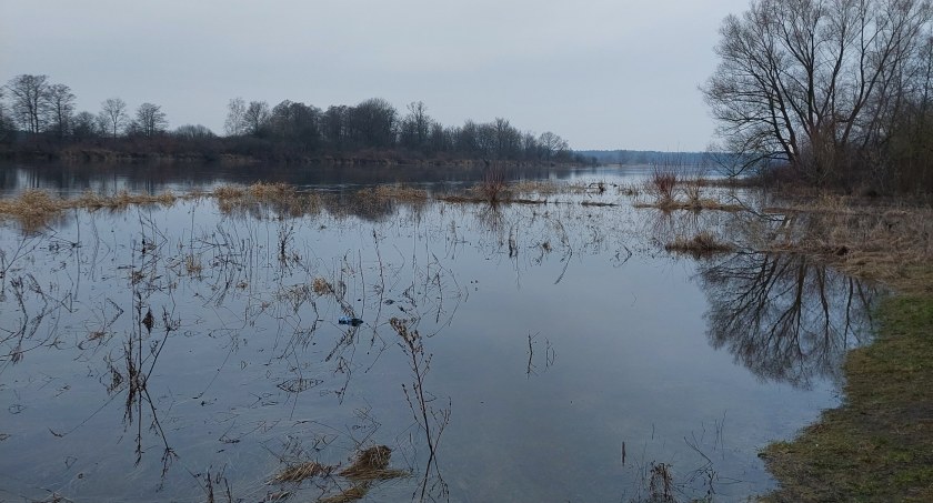 Rzeki występują z brzegów