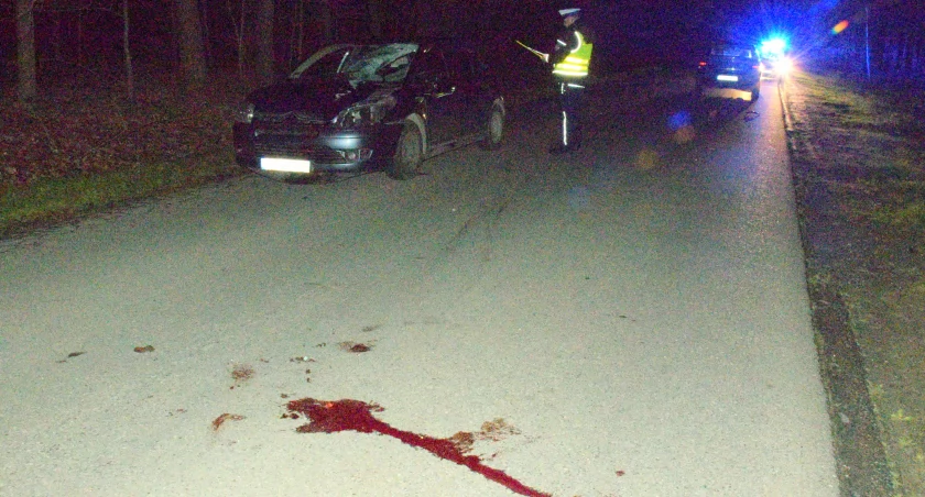 Nocny wypadek na drodze