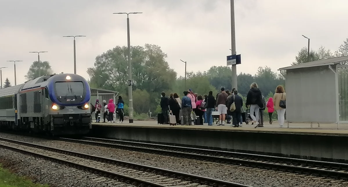 Czy powiat zapewni transport publiczny z Siemiatycz na dworzec PKP Siemiatycze?