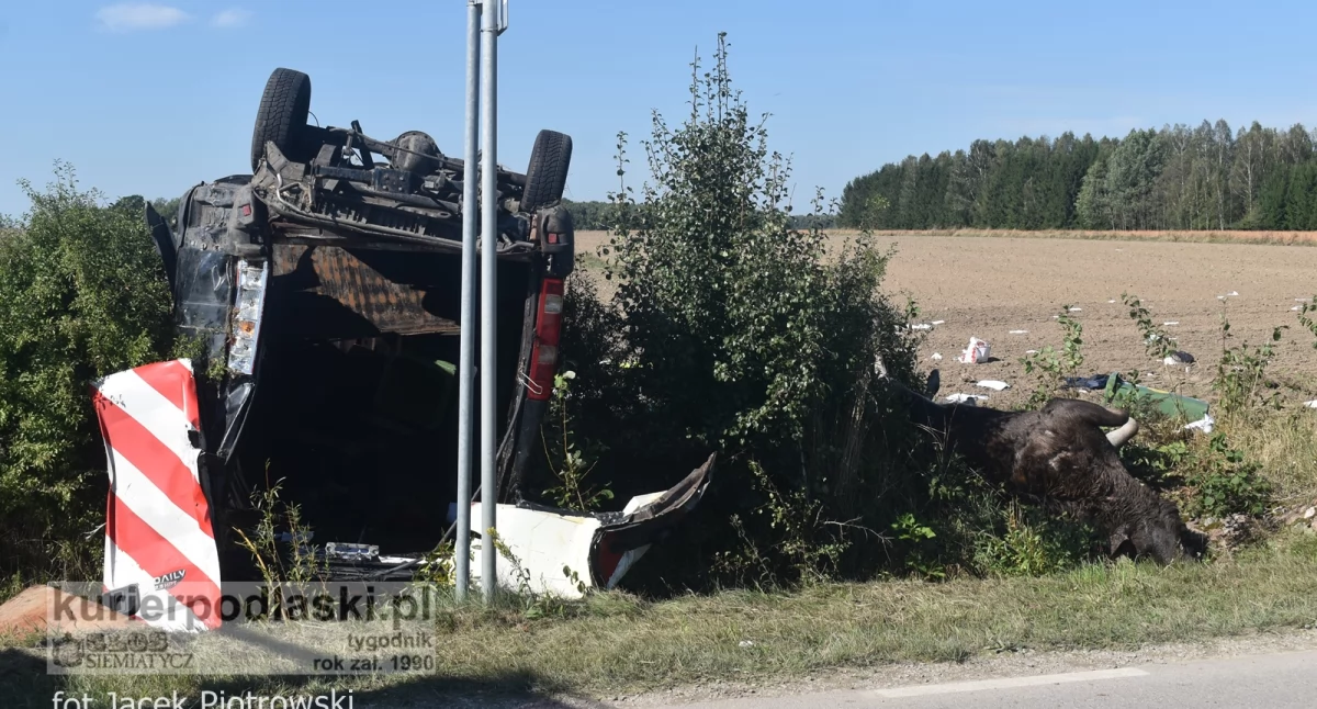Śmierć w wypadku drogowym