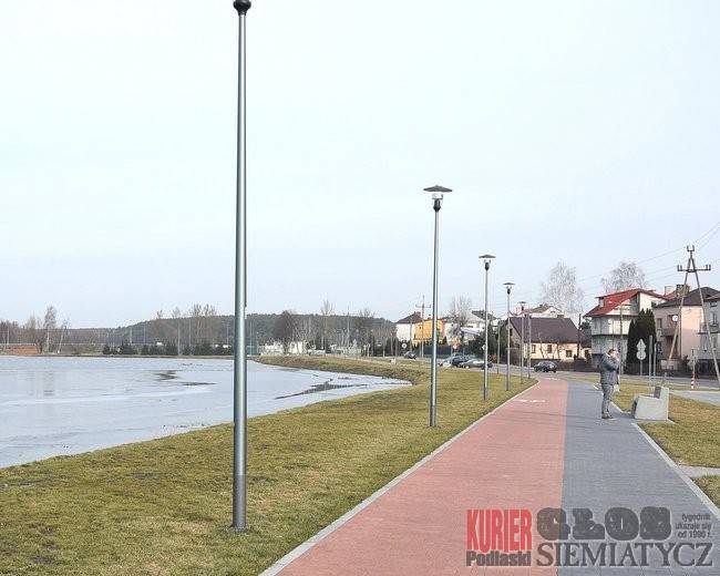 Będą nowe drzewa i zielone przystanki