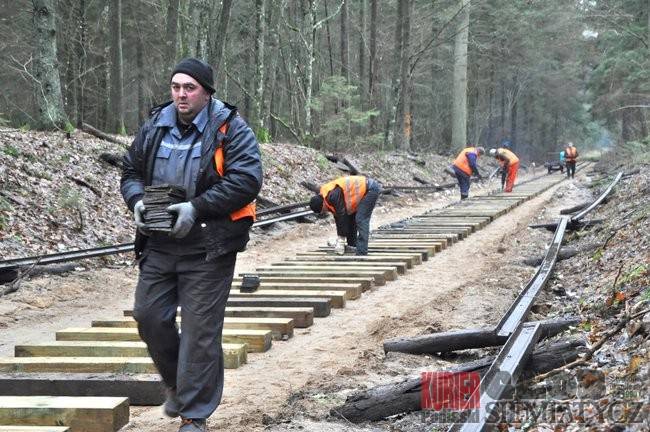 Wąskotorówką przez Puszczę Białowieską