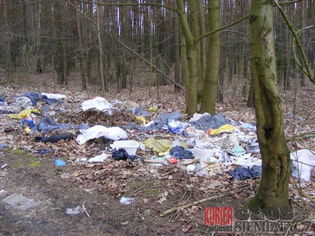 Co tydzień świeże śmieci