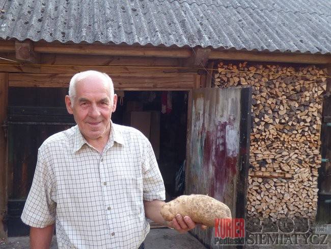 Ziemniaki z Czarnej Średniej
