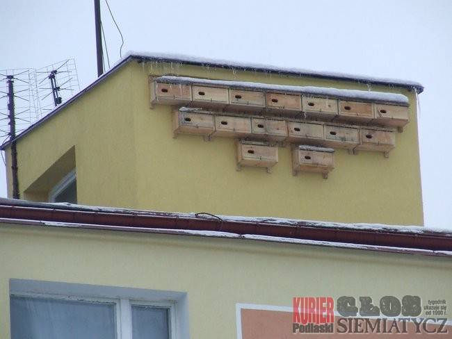 Nurzec Stacja - Budki dla jerzyków