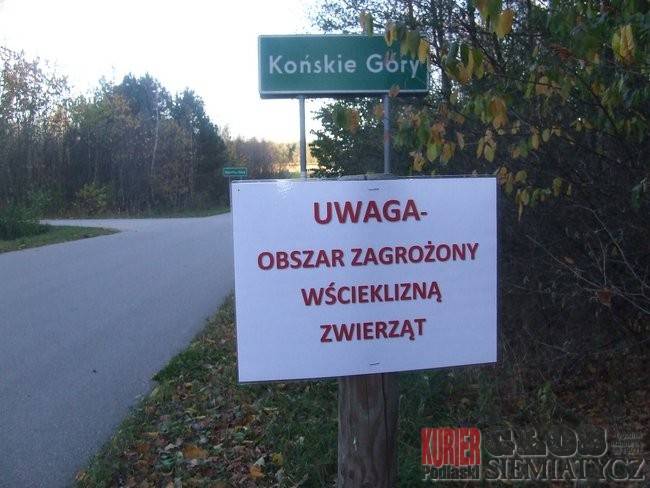 Nurzec Stacja - Wścieklizna