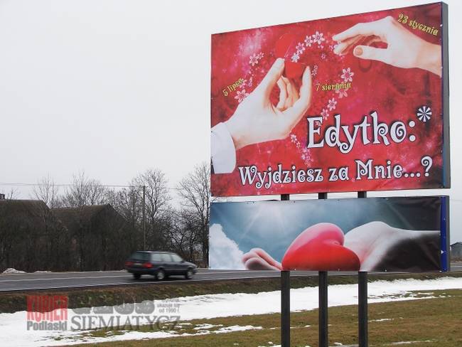 Wiercień Duży - Nietypowe oświadczyny