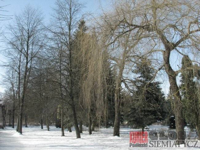 Nurzec Stacja - Park bez drzew?