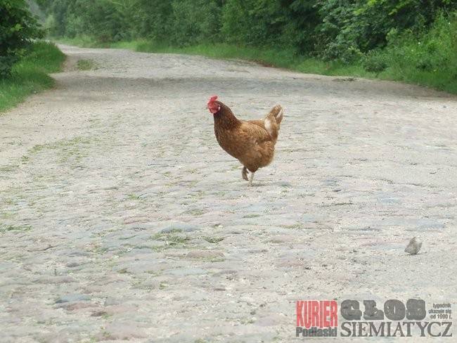 Nurzec Stacja - Wyczółki czekają na drogę
