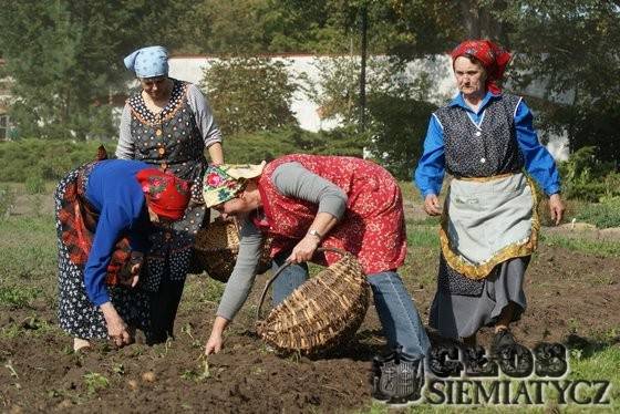 Ciechanowiec – Wykopki w skansenie (video)