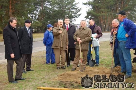 Nareszcie posadzono nowe drzewa