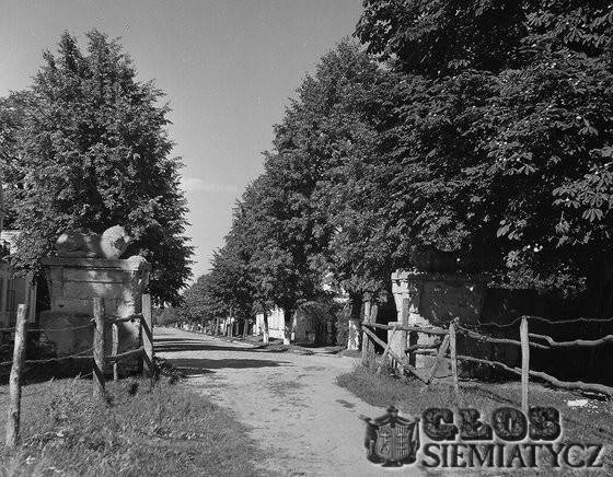 Na starej fotografii -  Oryginalne resztki pałacowych sfinksów