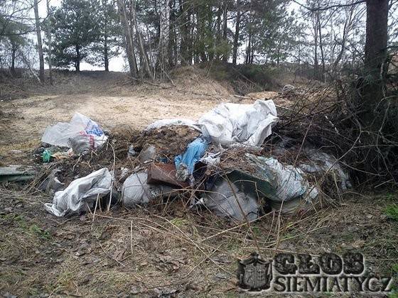 Okiem pozarządowca - Jaki pan, taki las, czyli bezlitosna wiosna