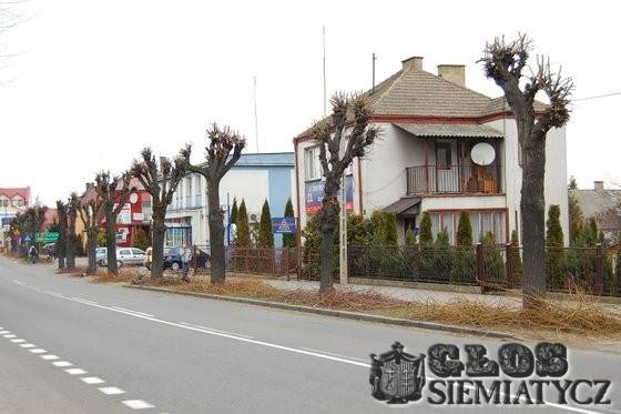 Idzie wiosna, czas niszczyć drzewa - Władze nowe  - zwyczaje stare