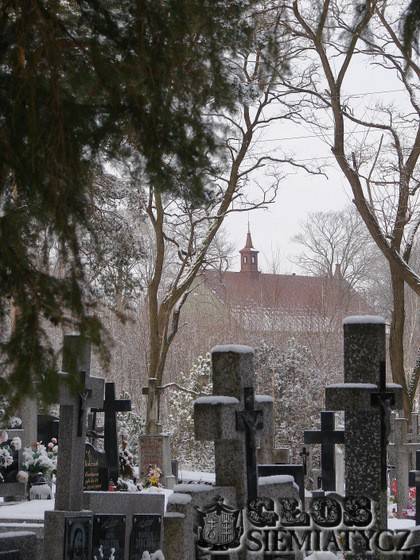 Cmentarz w Sarnakach - Zgoda na osiem drzew – kilkadziesiąt ocalało