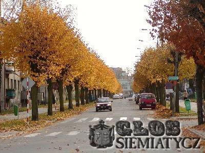 Siemiatycze - ulica Pałacowa - Dalszy ciąg dyskusji